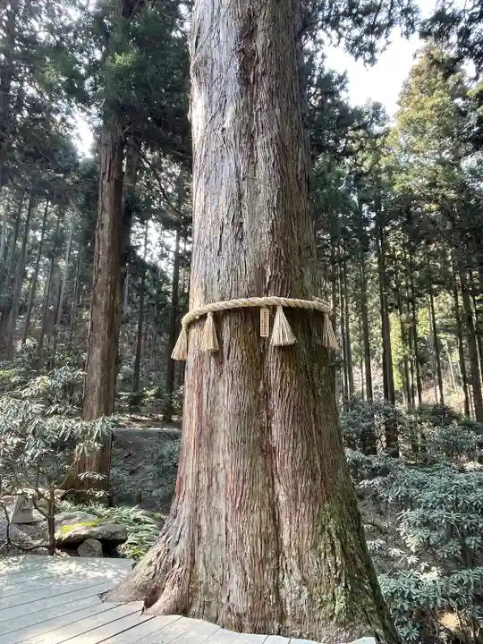 御岩神社の自然