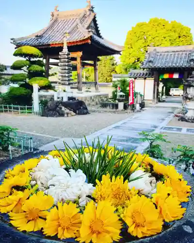 真言宗　善通寺派　薬王寺(香川県)