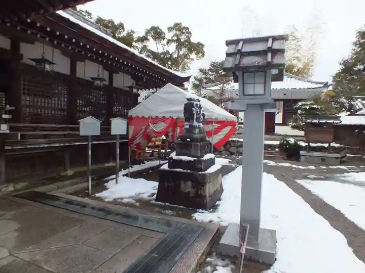 兵主大社の狛犬