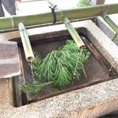 八坂神社(祇園さん)(京都府)