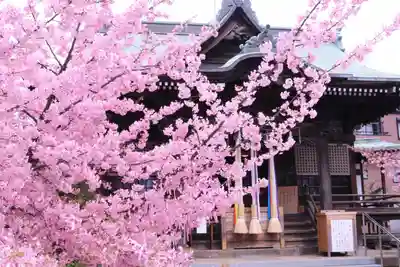 桜神宮のその他建物