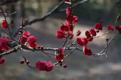 長岡天満宮(京都府)