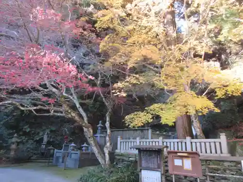 仙龍寺(愛媛県)