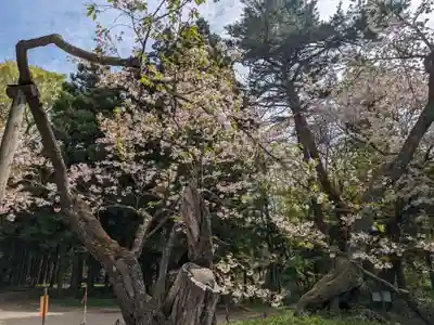 磐椅神社(福島県)