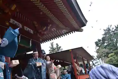 鶴岡八幡宮(神奈川県)