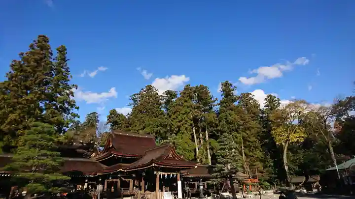 多賀大社の本殿・本堂