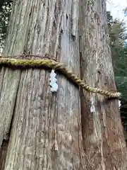 伊和神社(兵庫県)