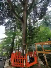 大前神社(栃木県)