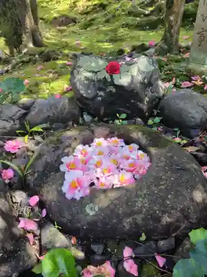 霊鑑寺門跡(京都府)