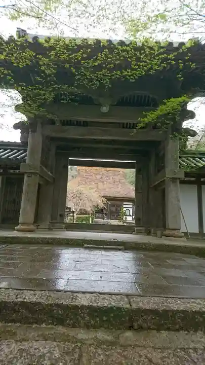 安国寺の山門・神門