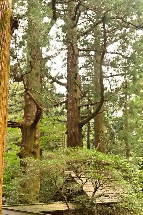 赤城神社(三夜沢町)(群馬県)