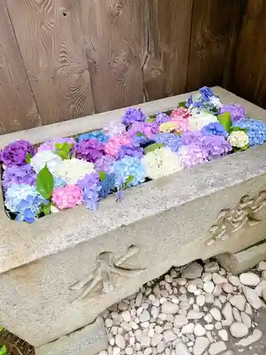 菅生神社の手水舎