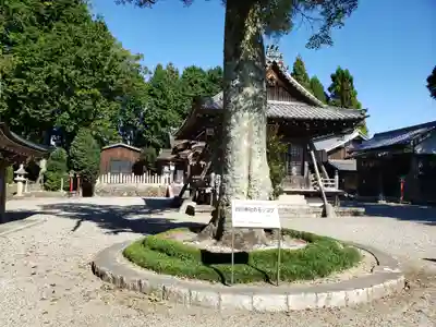 白川神社(滋賀県)