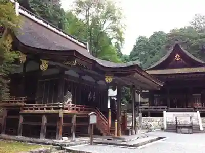 日吉大社の本殿・本堂