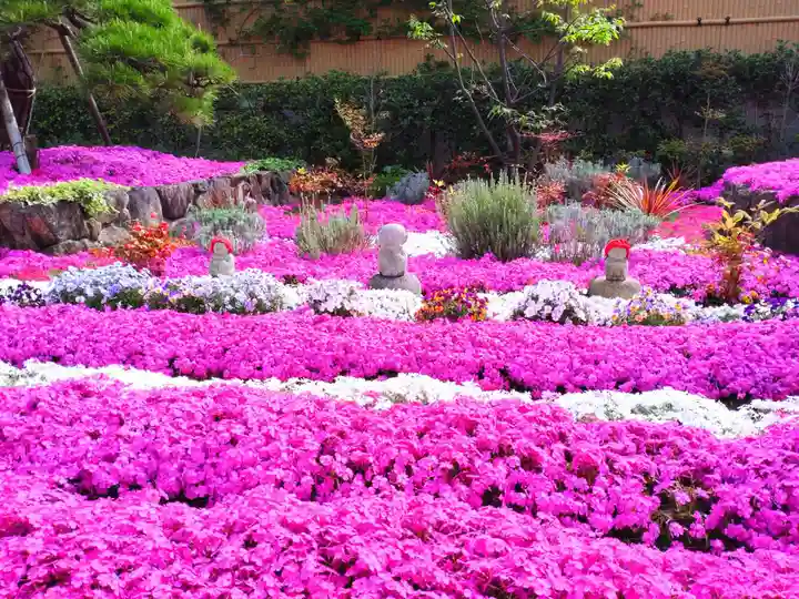 寿量山 速成寺の自然