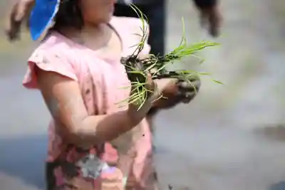 白鳥神社の体験その他