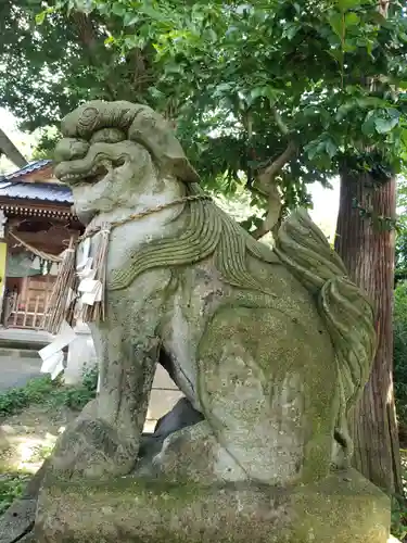 中川熊野神社の狛犬