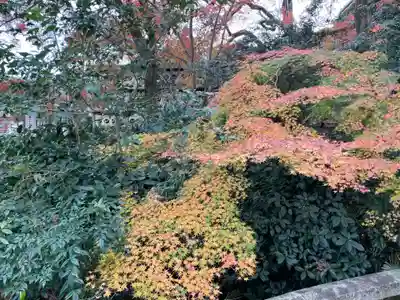 大石神社(京都府)