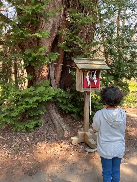 伊佐須美神社(福島県)