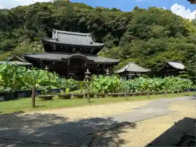三室戸寺(京都府)