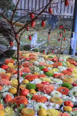 日吉大社(滋賀県)