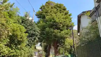 第六天社(千葉県)