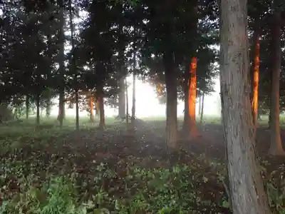 伏木香取神社のその他建物