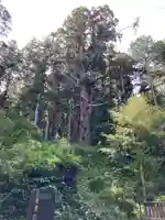 大宮温泉神社のその他建物