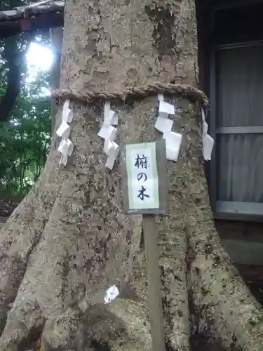 氷川女體神社(埼玉県)