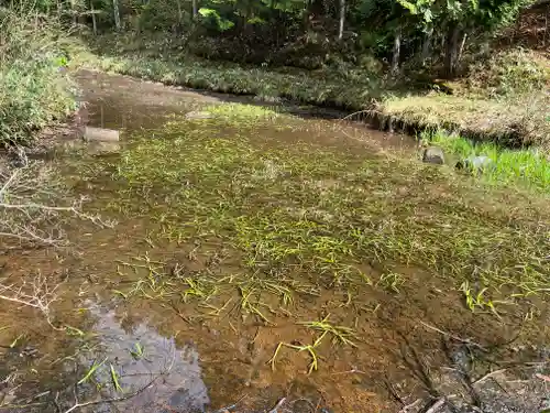 達谷西光寺(岩手県)