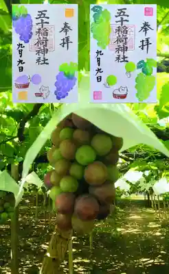左側 月替り御朱印 9月『ぶどう狩り』🍇
右側 9月9日限定御朱印『マスカット』