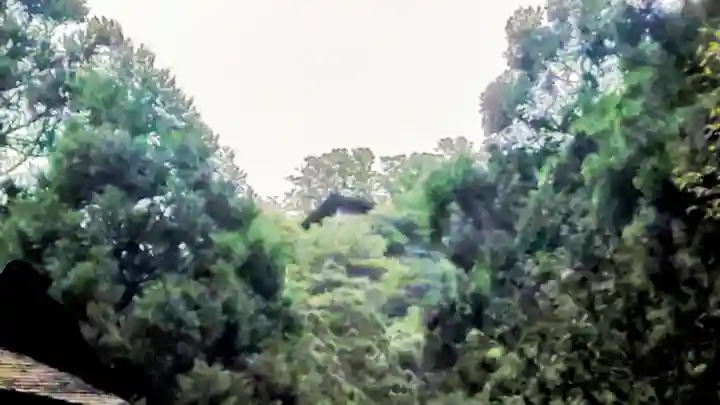 三佛寺(鳥取県)