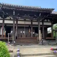 般若寺 ❁コスモス寺❁(奈良県)
