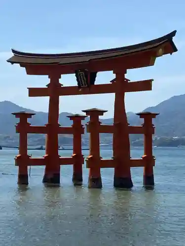 厳島神社の{uncategorized: "未分類", other: "その他", undefined: "問題あり", building: "その他建物", grave: "お墓", sacred_gate: "鳥居", guardian: "狛犬", statue: "像", buddha: "仏像", history: "歴史", nature: "自然", garden: "庭園", animal: "動物", pagoda: "塔", temizu: "手水舎", mountain_gate: "山門・神門", sanctuary: "本殿・本堂", subordinate: "末社・摂社", art: "芸術", scenery: "景色", jizo: "地蔵", ema: "絵馬", goshuin: "御朱印", omikuji: "おみくじ", items: "授与品その他", amulet: "お守り", goshuincho: "御朱印帳", eats: "食事", festival: "お祭り", votive_dance: "神楽", shichigosan: "七五三参", wedding: "結婚式", experience: "体験その他", initially: "初詣", around: "周辺", anti_infection: "感染症対策"}