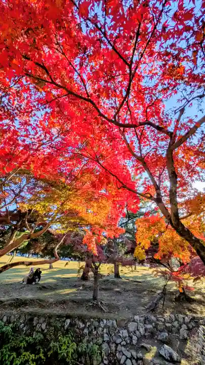 夫婦大國社(春日大社末社)(奈良県)