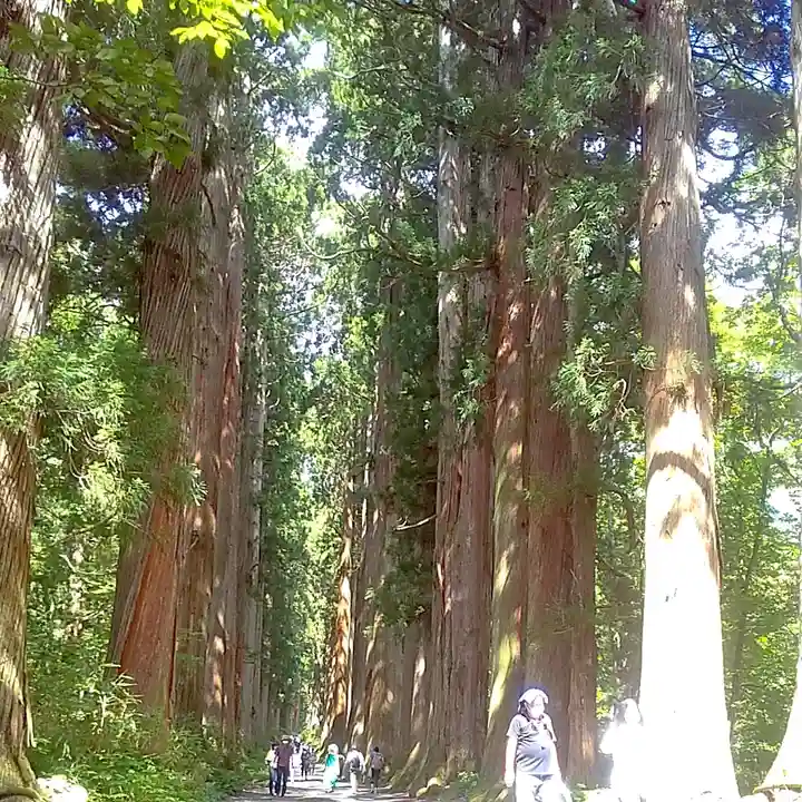 戸隠神社九頭龍社の自然