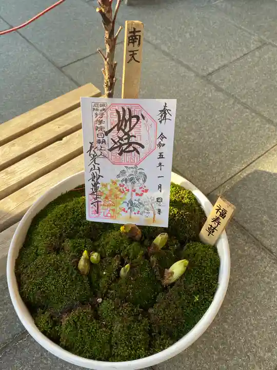 妙蓮寺の御朱印