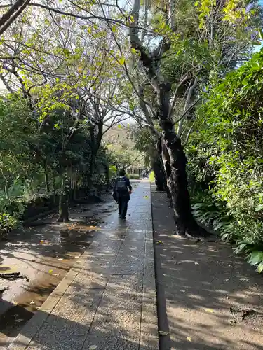 極楽寺（霊鷲山感應院極楽律寺）の庭園