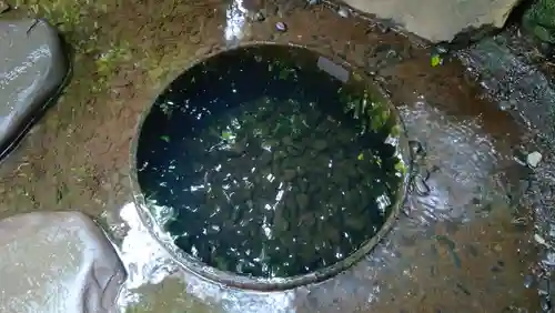 明治神宮(東京都)