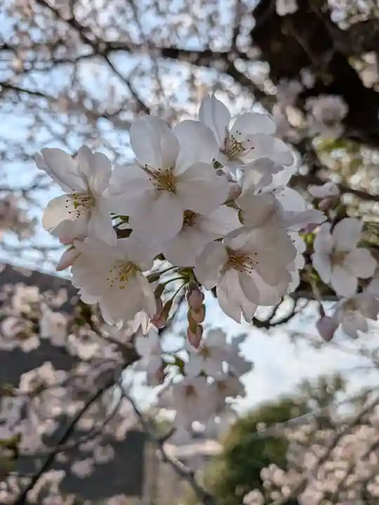 多田神社(東京都)