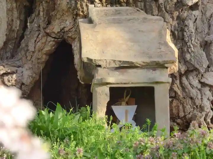 瀧桜神明宮(福島県)