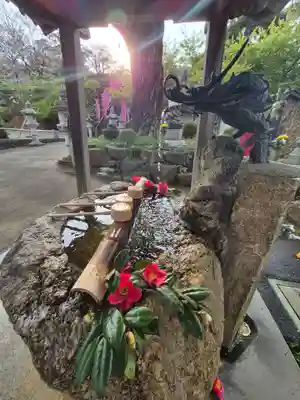 長谷寺(神奈川県)