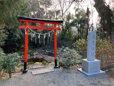 鷲宮神社の鳥居