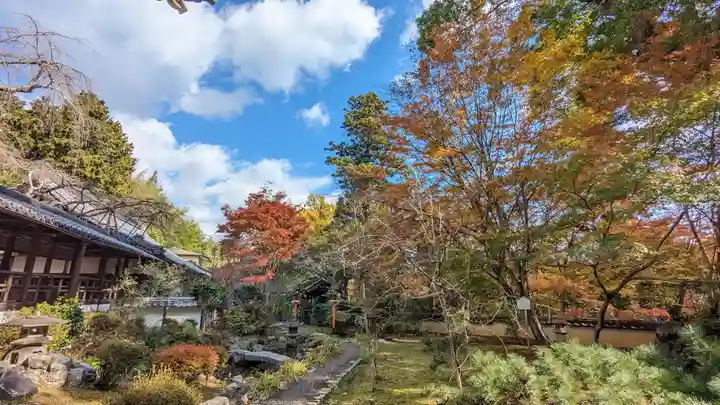 十輪寺(京都府)