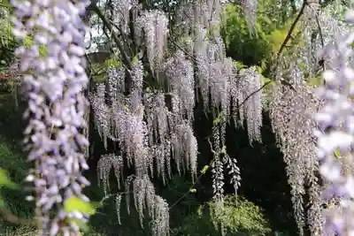 春日神社の庭園