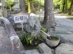 鳴谷神社の手水