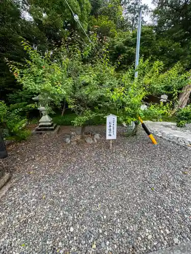 矢奈比賣神社（見付天神）(静岡県)