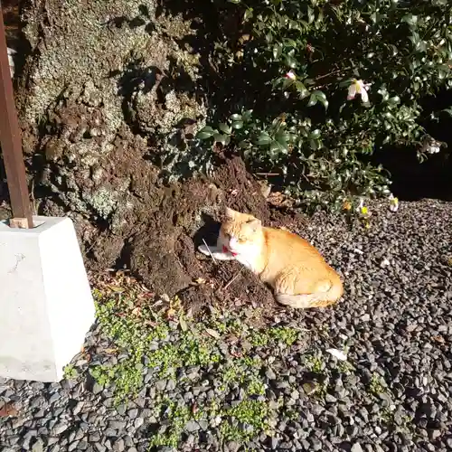 唐澤山神社の動物