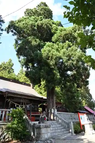 鼬幣稲荷神社(岩手県)