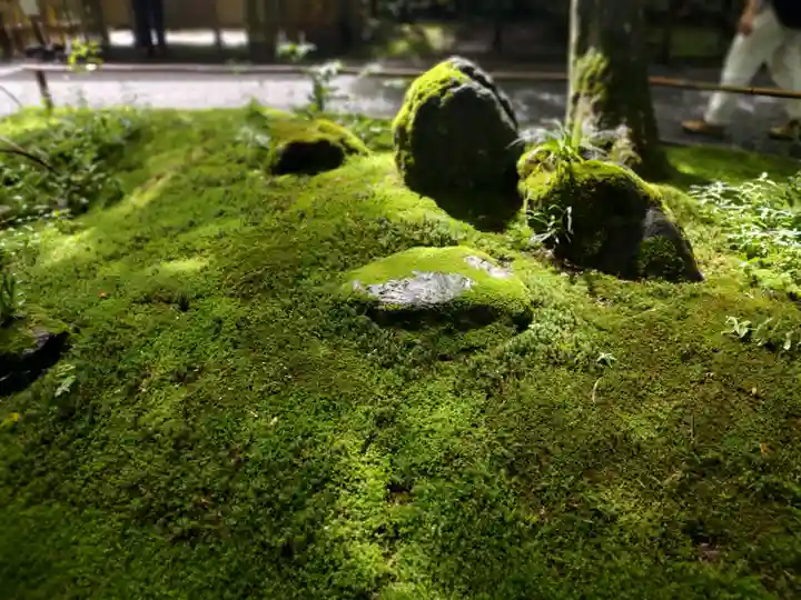 明月院(神奈川県)